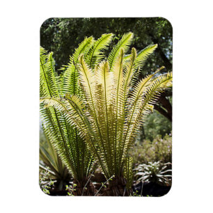Backlit handflatan magnet