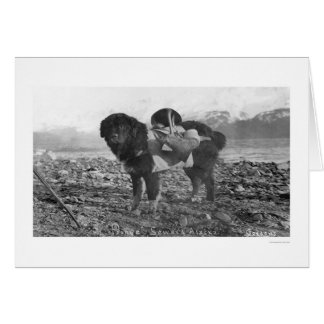 Backpackaging Hund Seward, Alaska 1911 Hälsningskort