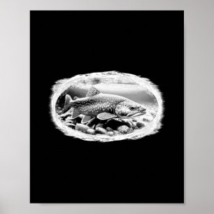 Bäckröding Torrflugefiske Älskare Fluga Bandning F Poster