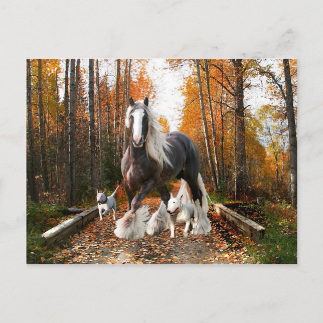 "Backways Ramble" vykort (Framsida)