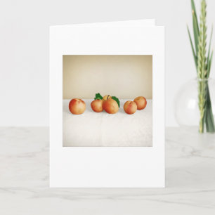 Backyard Apricots stillatigande-Life Blank Hälsnin Kort
