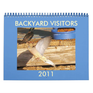 BACKYARD-BESÖKARE KALENDER