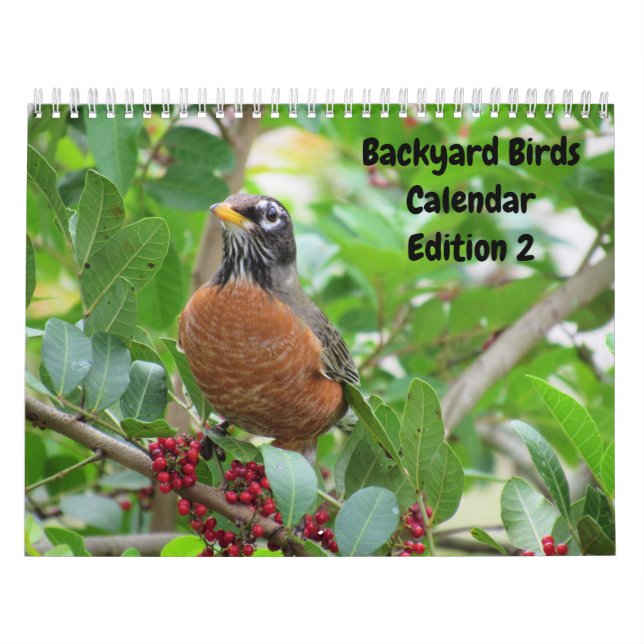 Backyard Birds Calendar - Edition 2 Kalender (Omslag)