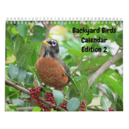 Backyard Birds Calendar - Edition 2 Kalender