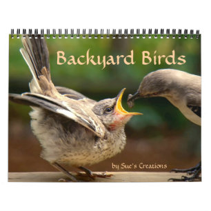 Backyard Birds Calendar Kalender