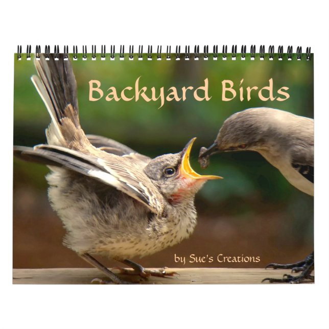 Backyard Birds Calendar Kalender (Omslag)