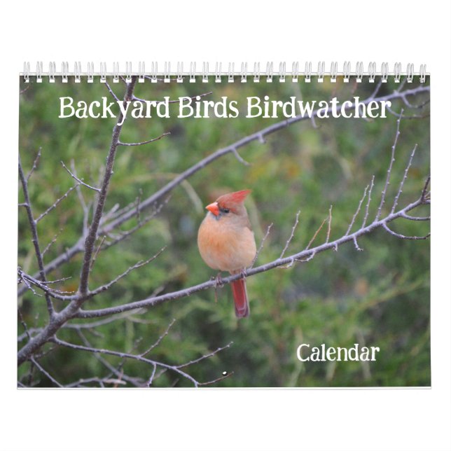 Backyard Birds Fågelskådare Calendar Kalender (Omslag)