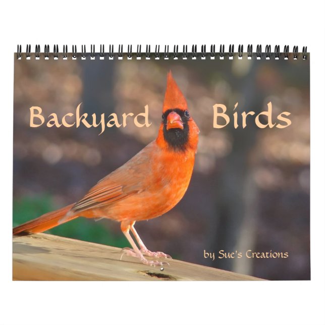 Backyard Birds Kalender (Omslag)
