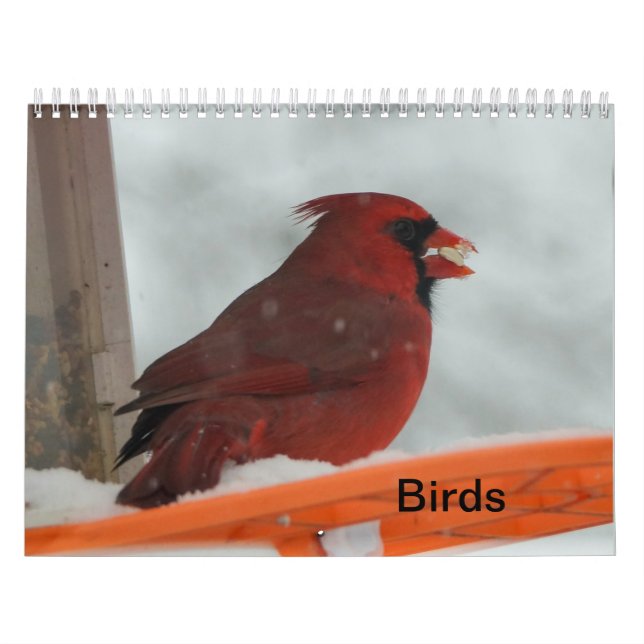 Backyard Birds Kalender (Omslag)