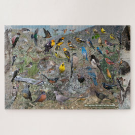 Backyard Birds of Nevada Pussel