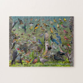 Backyard Birds of Northern California Pussel