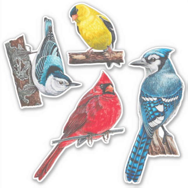 Backyard Birds Stickers Value Pack Klistermärken (Framsida)