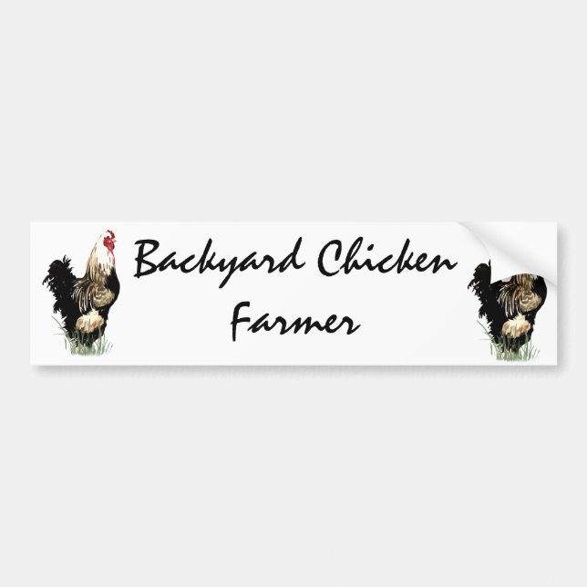 Backyard Chicken Farmer med Tupp Design Bildekal (Framsidan)