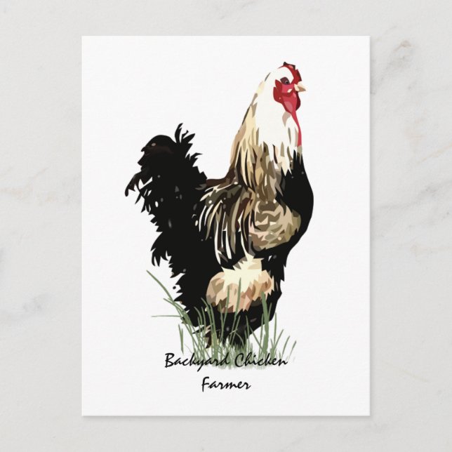 Backyard Chicken Farmer med Tupp Design Vykort (Framsida)