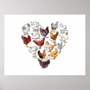 Backyard Chicken Kärlek Heart Crazy Chicken-ras Poster