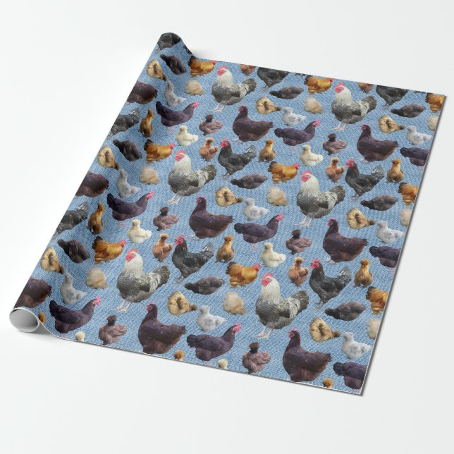 Backyard Chickens Blue Burlap  Presentpapper (Utrullad)