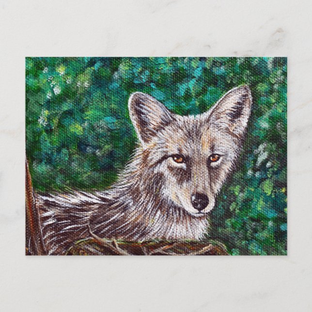 Backyard Coyote Painting Vykort (Framsida)
