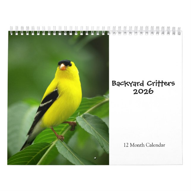 Backyard Critters 2026 Calendar Kalender (Omslag)