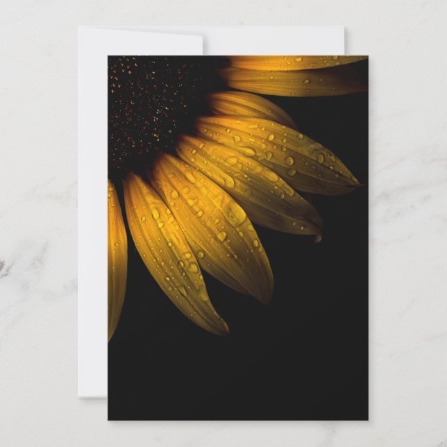 Backyard Flowers 28 Solros (Framsida)