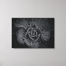 Backyard Flowers in Black and White No 108 Canvastryck