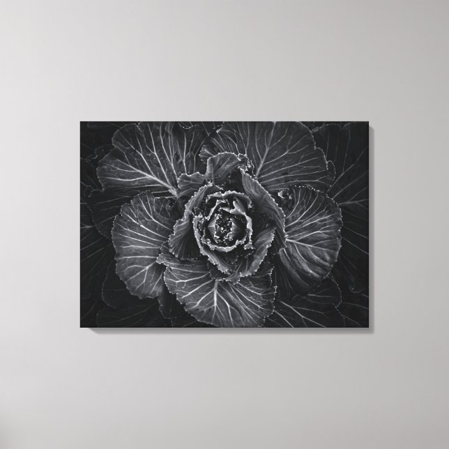 Backyard Flowers in Black and White No 108 Canvastryck (Framsida)