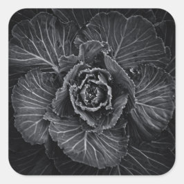 Backyard Flowers in Black and White No 108 Fyrkantigt Klistermärke