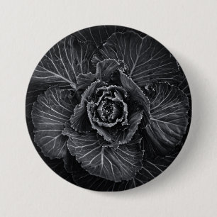 Backyard Flowers in Black and White No 108 Knapp