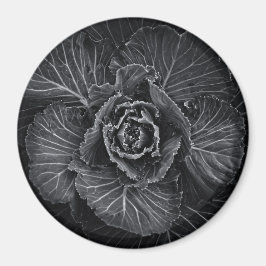 Backyard Flowers in Black and White No 108 Magnet