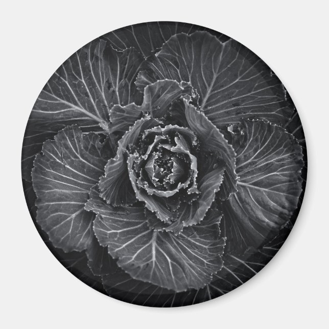Backyard Flowers in Black and White No 108 Magnet (Framsidan)