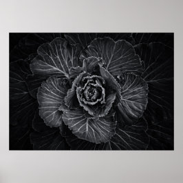 Backyard Flowers in Black and White No 108 Poster