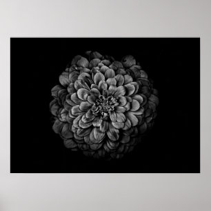 Backyard Flowers in Black and White No 54 Poster