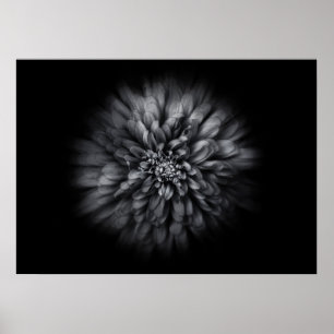Backyard Flowers in Black and White No 68 Flow Poster