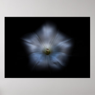 Backyard Flowers No 24 Färg Flow Version Poster