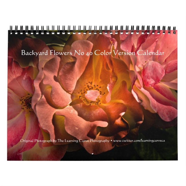 Backyard Flowers No 40 Färg Version Kalender (Omslag)