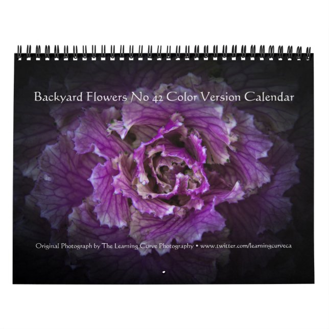 Backyard Flowers No 42 Färg Version Kalender (Omslag)