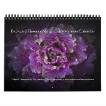 Backyard Flowers No 42 Färg Version