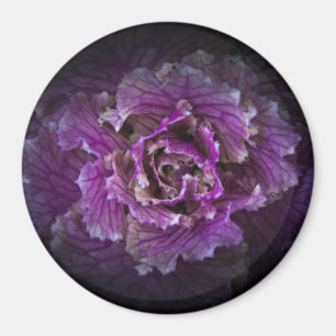 Backyard Flowers No 42 Färg Version Magnet