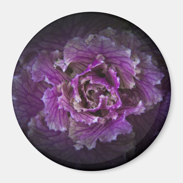 Backyard Flowers No 42 Färg Version Magnet (Framsidan)