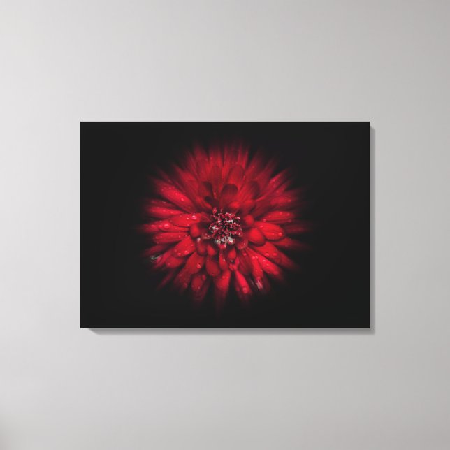 Backyard Flowers No 45 Färg Flow Version Canvastryck (Framsida)