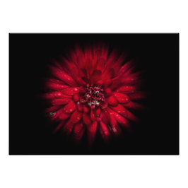 Backyard Flowers No 45 Färg Flow Version Fototryck