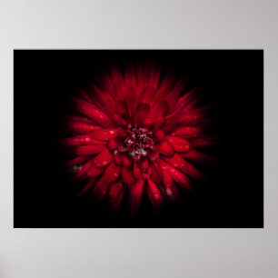 Backyard Flowers No 45 Färg Flow Version Poster