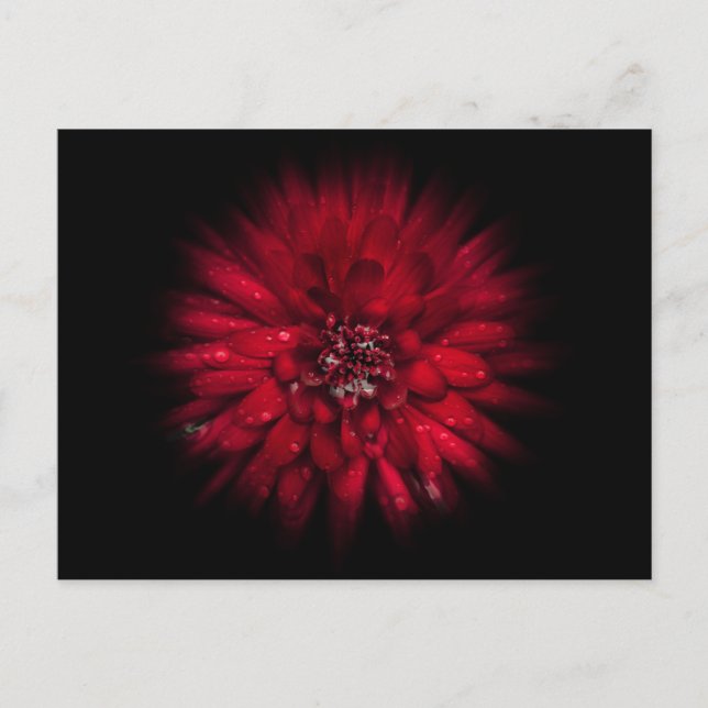 Backyard Flowers No 45 Färg Flow Version Vykort (Framsida)