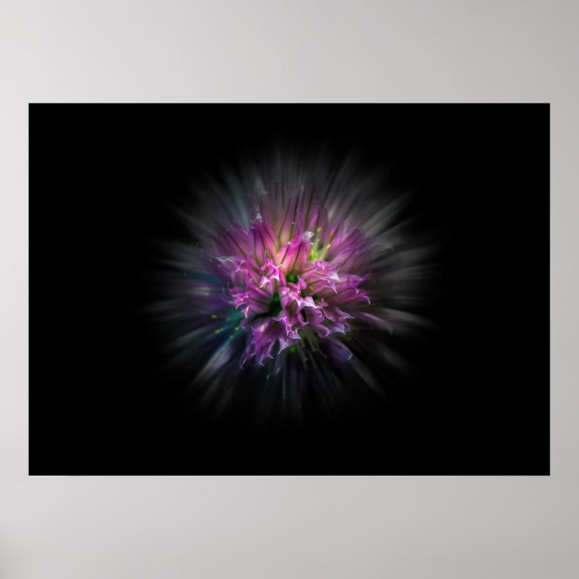 Backyard Flowers No 53 Färg Flow Version Poster (Framsidan)