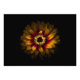 Backyard Flowers No 69 Färg Version Fototryck