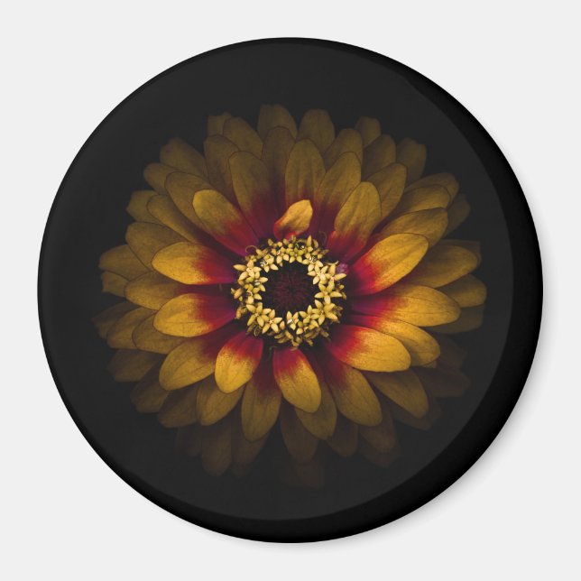 Backyard Flowers No 69 Färg Version Magnet (Framsidan)