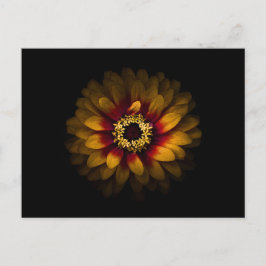 Backyard Flowers No 69 Färg Version Vykort