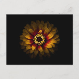 Backyard Flowers No 69 Färg Version Vykort