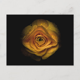 Backyard Flowers No. 74 Färg Version Vykort