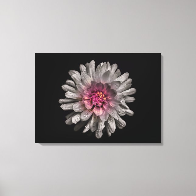 Backyard Flowers No 91 Färg Version Canvastryck (Framsida)