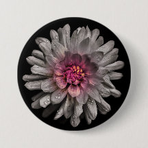 Backyard Flowers No 91 Färg Version